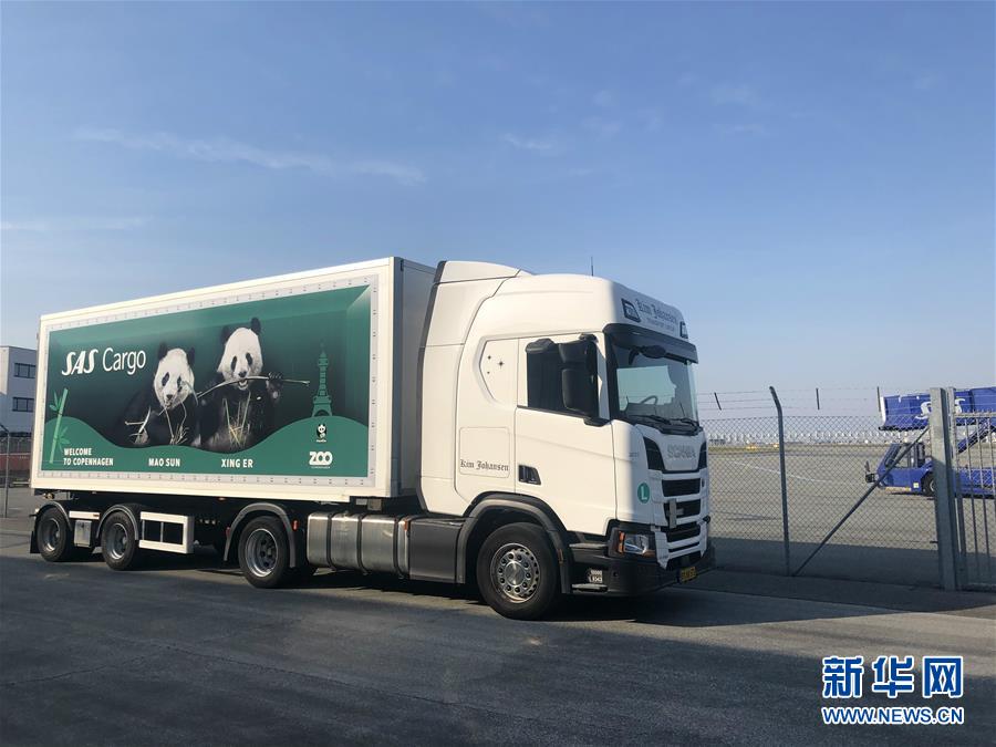 Valheim探索沼泽需要做什么准备